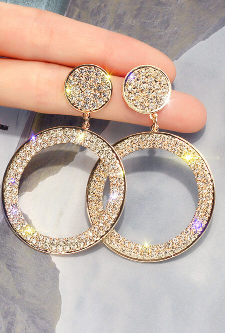 Shining Circle Drop Earrings Precision Inlay Gold Silver