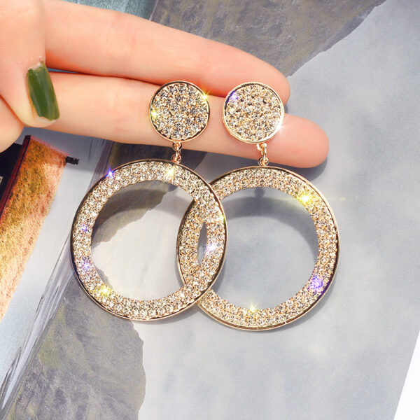 Shining Circle Drop Earrings Precision Inlay Gold Silver