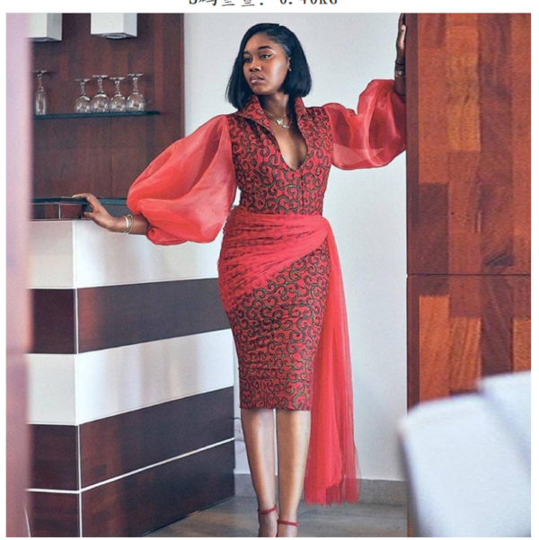 Gorgeous  Long Transparent Sleeve Print Dress