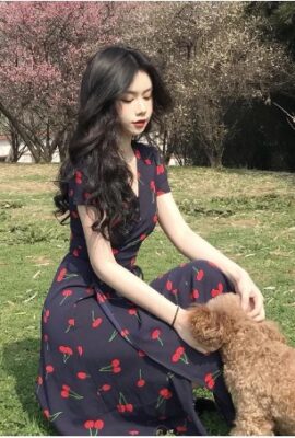 Beautiful Cherry Print Short Sleeve Vintage French Dress